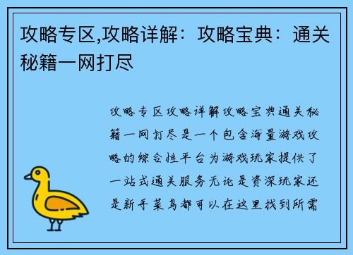 攻略专区,攻略详解：攻略宝典：通关秘籍一网打尽